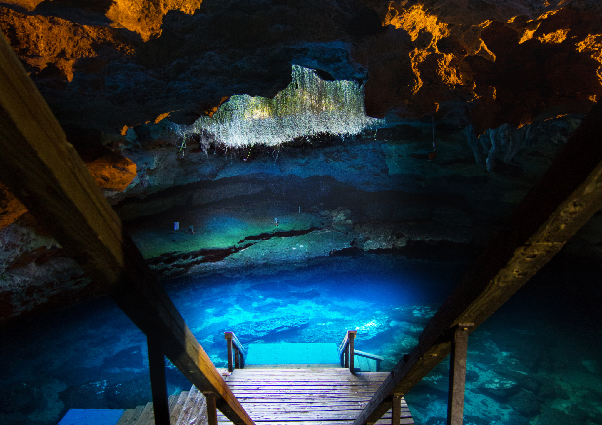 Devil’s Den – Florida’s Natural Springs