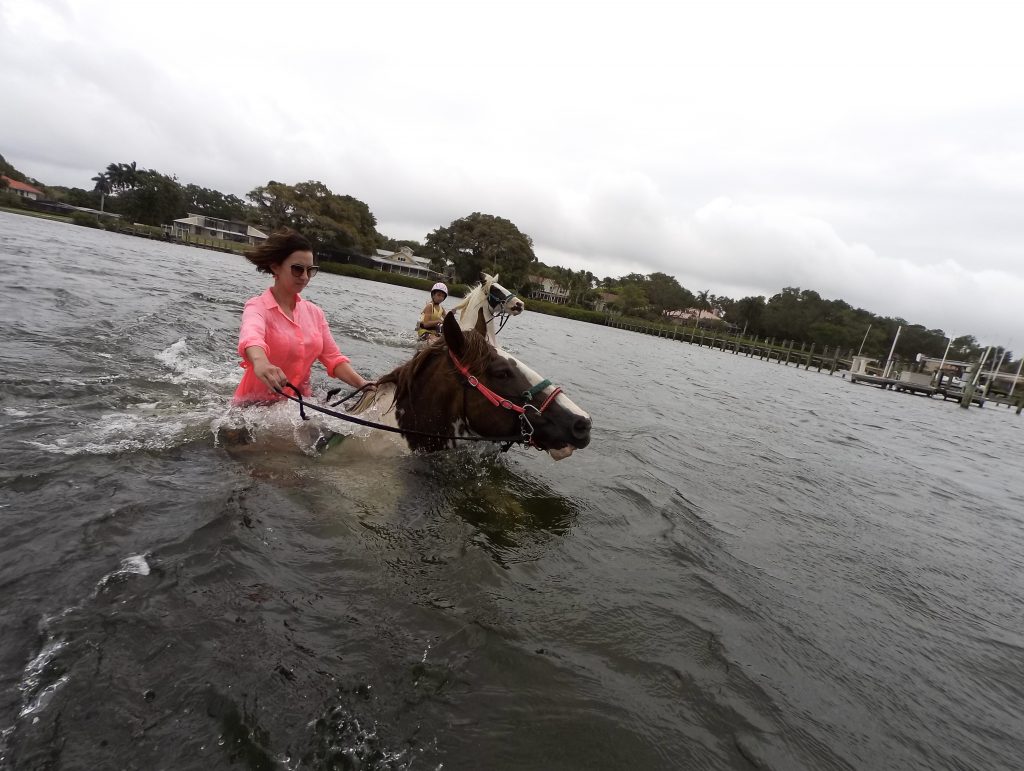 Swimming with horses