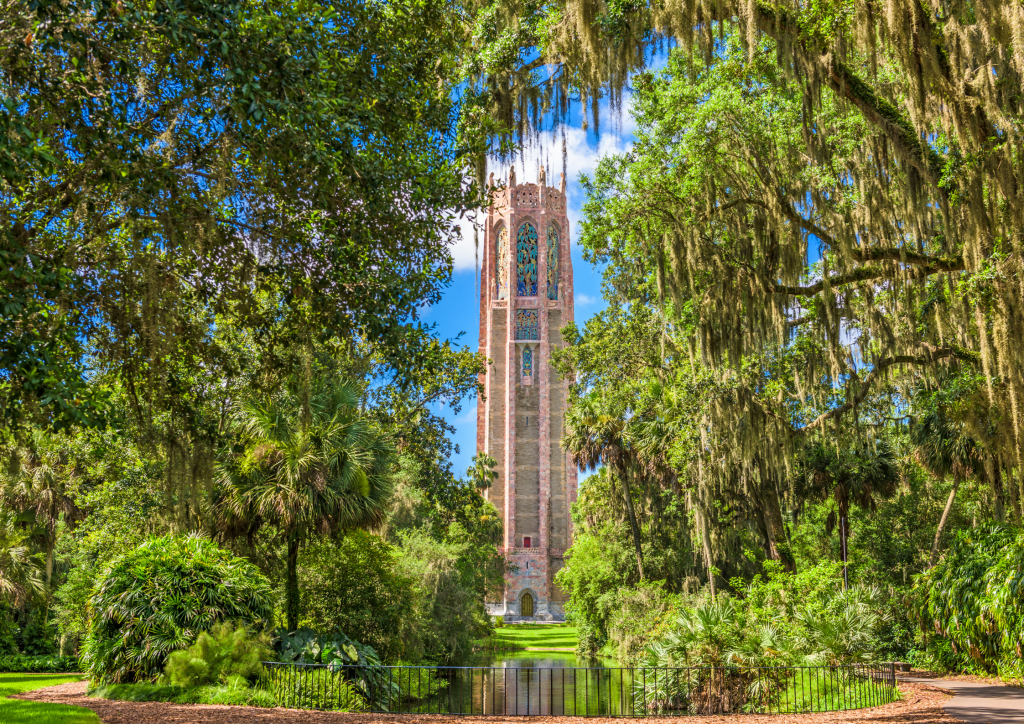 A tall tower surrounded by trees and moss.