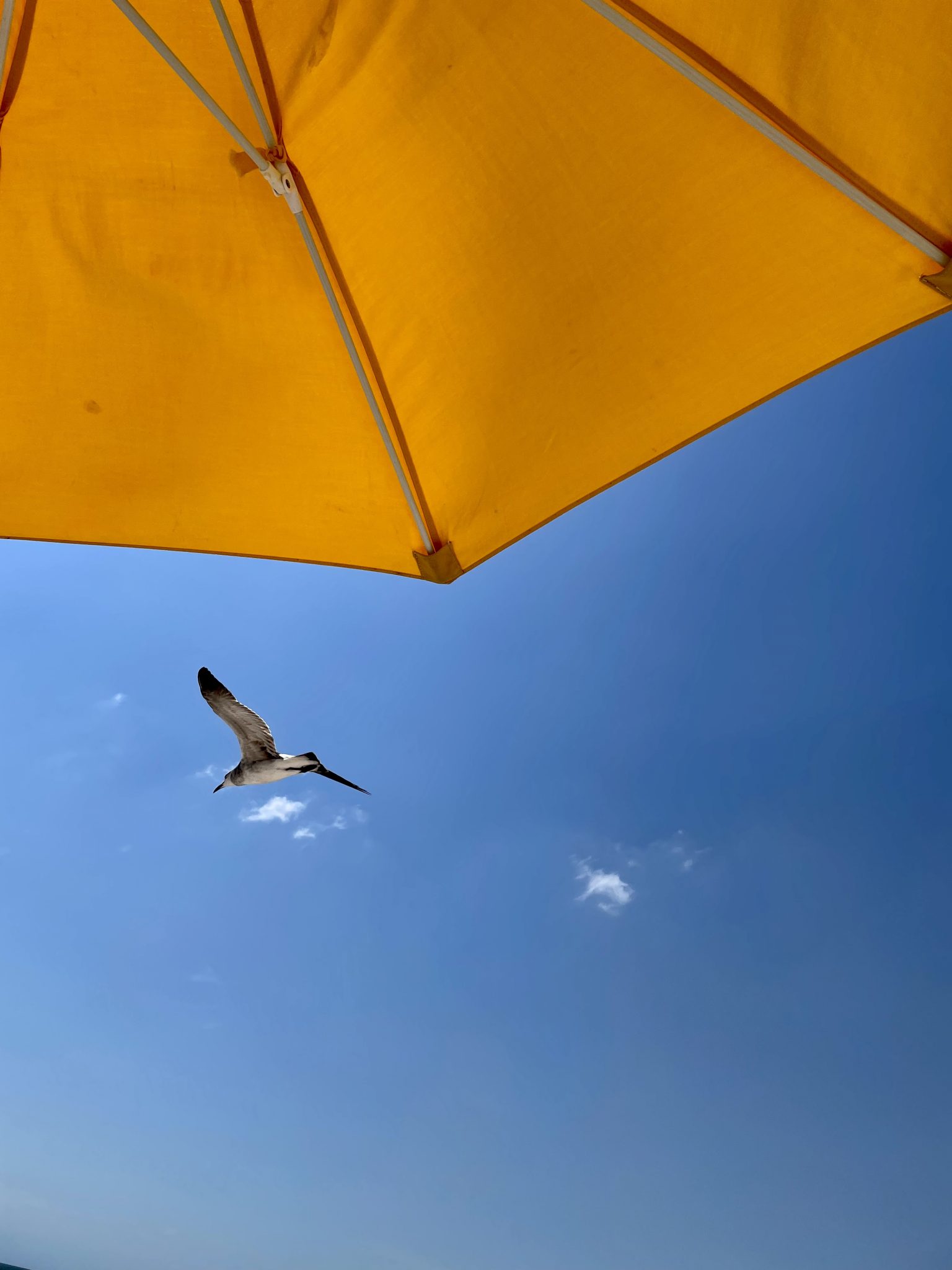 Bahia Beach in Ruskin, Florida