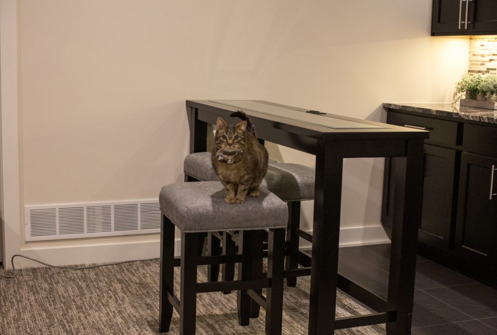 Miss Kitty approves of the bar set!