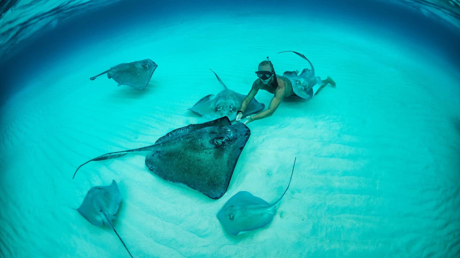 5.) Swim With the Stingrays in Gibbs Cay (Grand Turk)