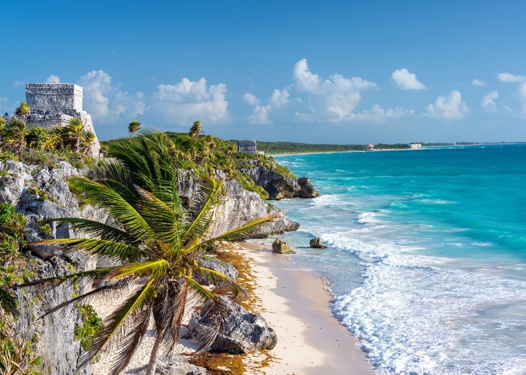 A gorgeous landscape shot of the shoreline in Tulum, Mexico. The clear blue waters crash foamy waves onto the beach lined with palm trees, with a clear blue sky in the background.