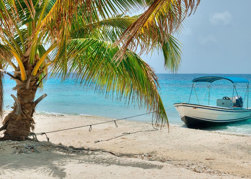 A small boat is tied to a large palm tree on the shoreline of a beach in Belize.