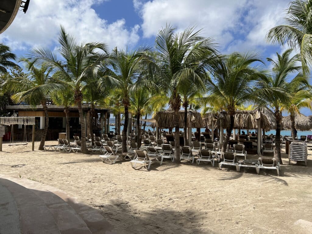 Mambo Beach with lounge chairs and palm trees.