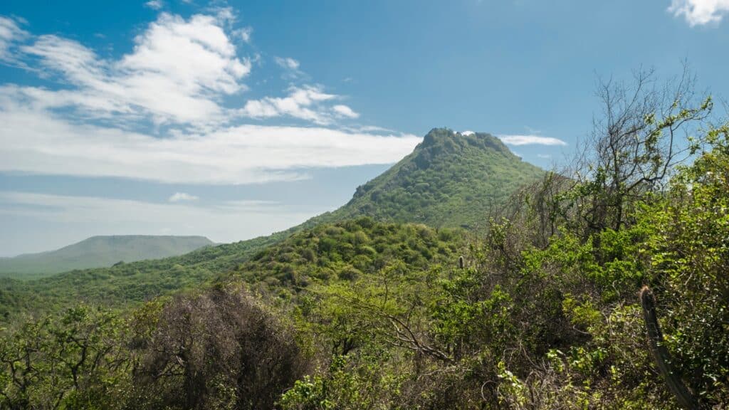 A wide angle shot of Christoffel National Park in Curacao.