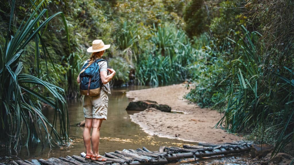 Young woman in beige shirt, shorts and straw haw, backpack on shoulders, hiking rainforest jungle, walking over low wooden bridge at small creek near - view from behind