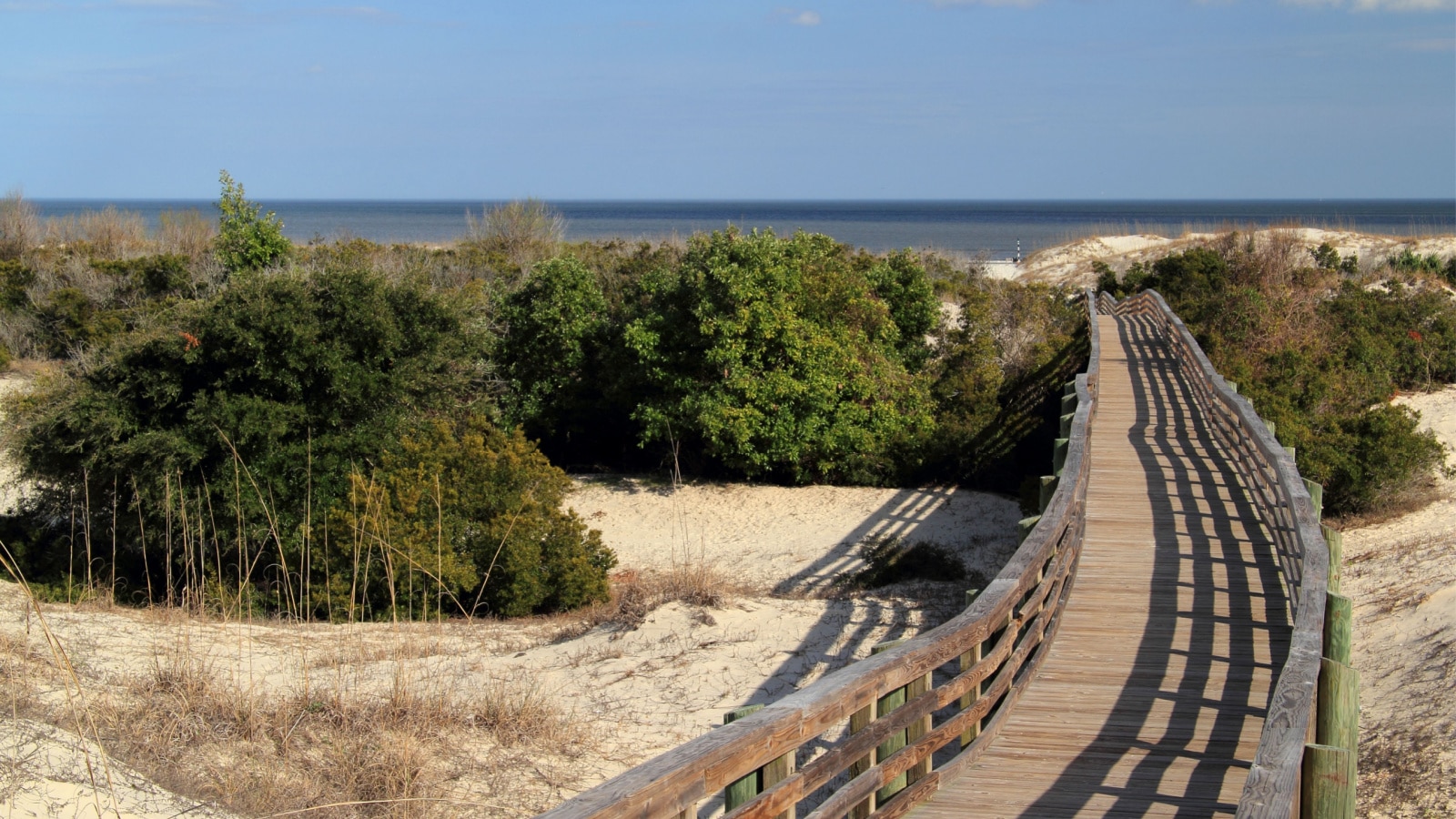 Cumberland Island National Seashore, located in the state of Georgia, is known for its vast beaches, its extensive trail network, and also for its resident population of wild horses and other wildlife