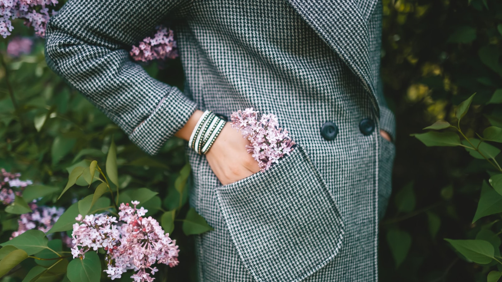 The young woman put a branch of lilac in her coat pocket. The delicate purple lilac in a femaly coat pocket. A lilac peeking out of female coat pocket.