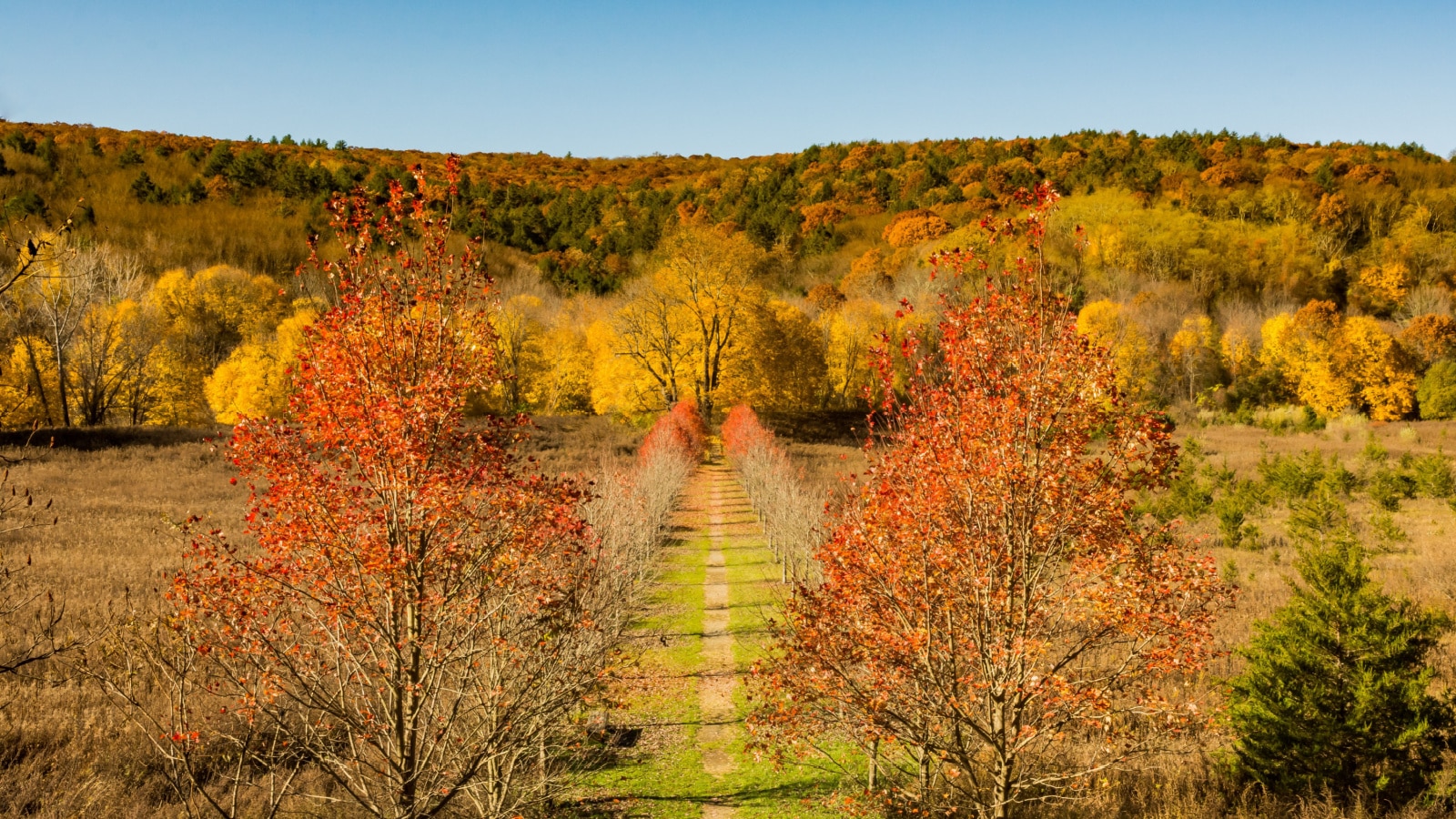 A gorgeous aerial photo of colorful fall foliage and landscape in Oniontown, New York.