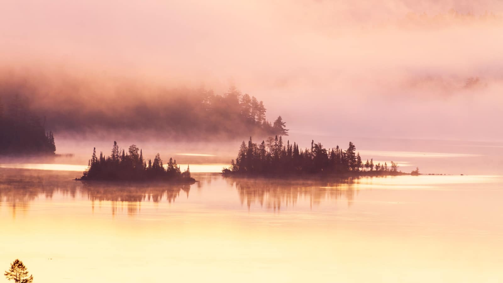 Islands with pine trees on a boundary waters lake shrouded in fog at sunrise Minnesota