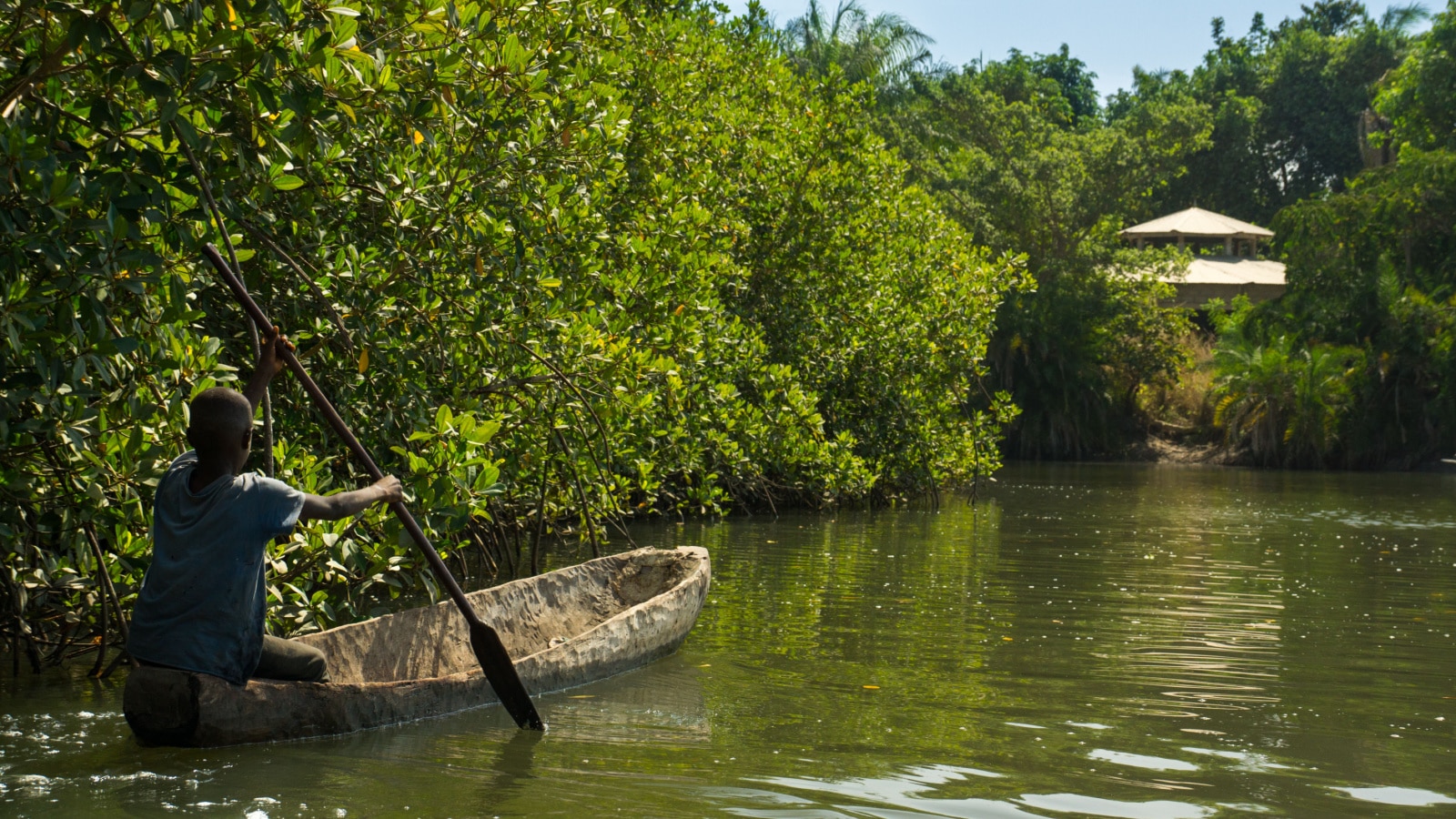 African children practice canoeing in the River Gambia near Makasutu forest in Gambia, West Africa