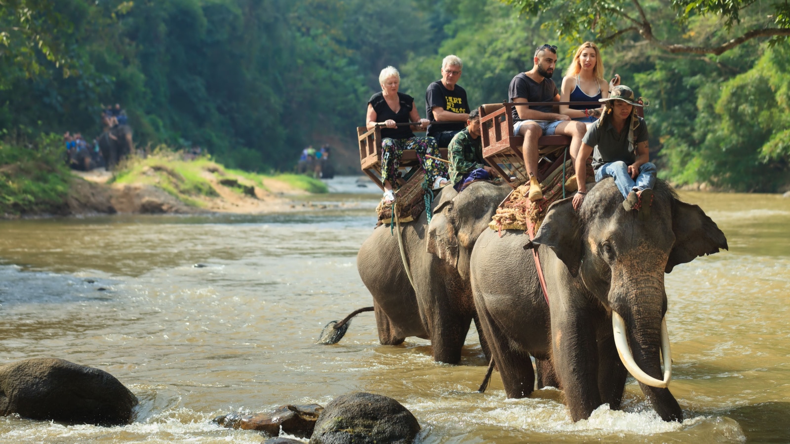 CHIANG MAI / THAILAND - JAN 12,2018: tourist riding on elephants Trekking in Thailand Young tourists are riding on elephants through the jungle in national park Maetaman Elephant Camp