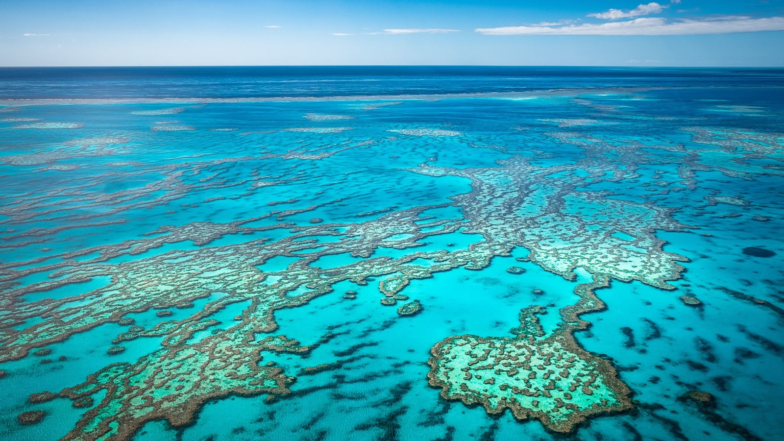 Great barrier reef from air