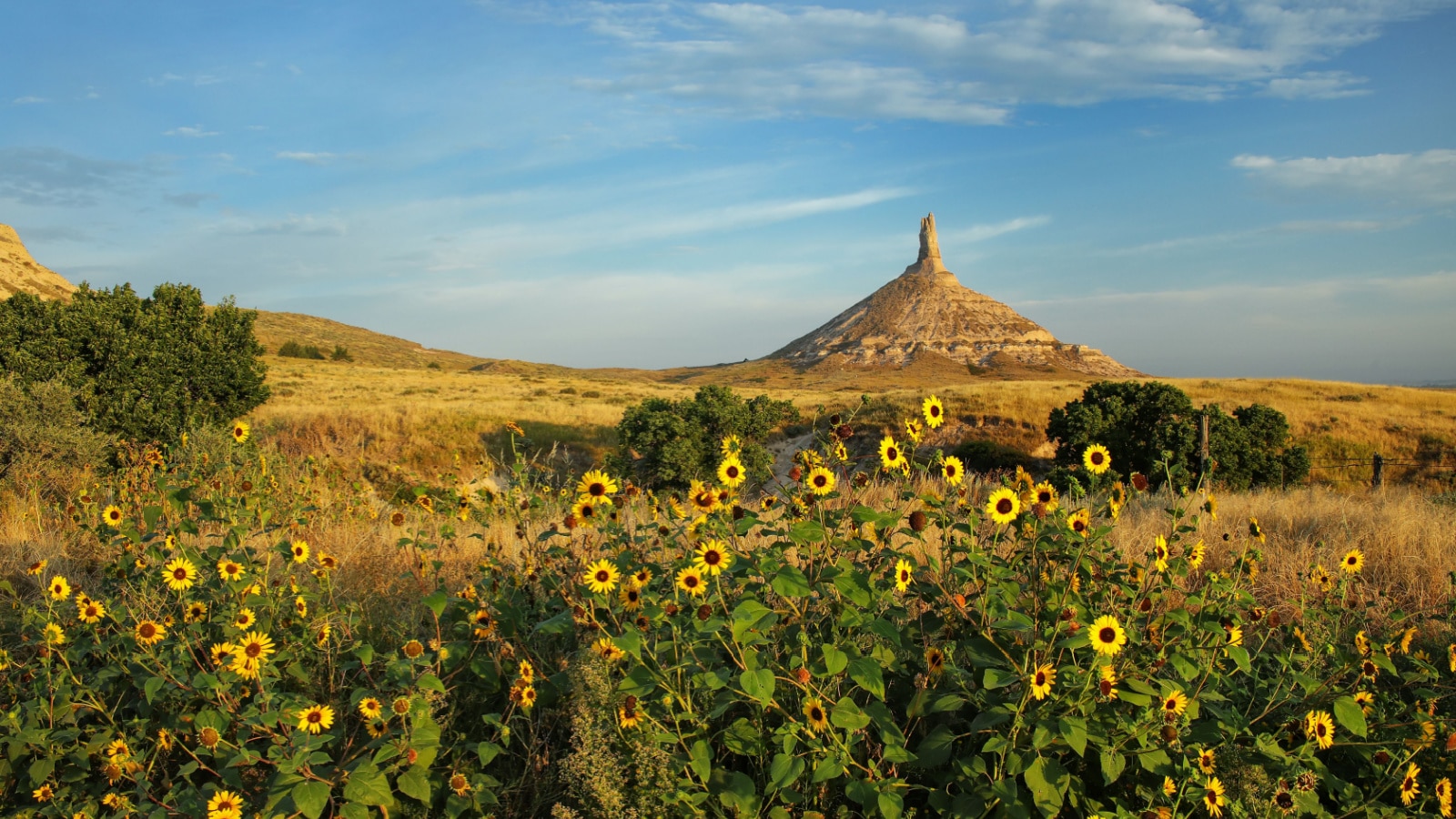 Chimney Rock National Historic Site with sunflowers, western Nebraska, USA. The peak of Chimney Rock is 1289 meters above sea level.