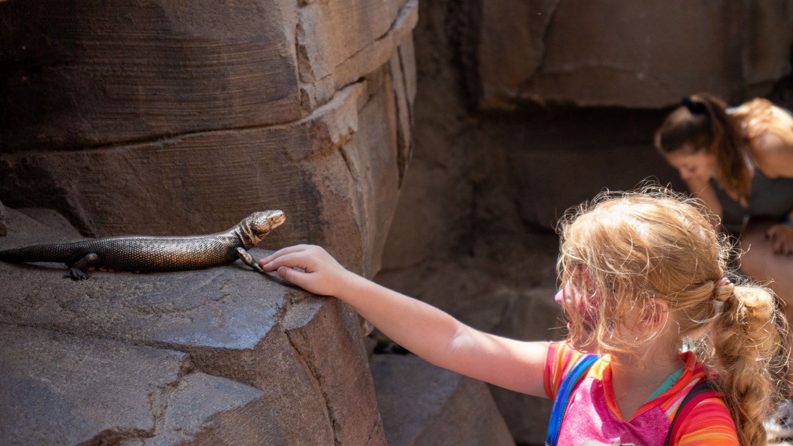 Omaha, Nebraska US, July 10, 2019 Omaha Henry Doorly Zoo Kids and Family's Having a Fun day at the Zoo