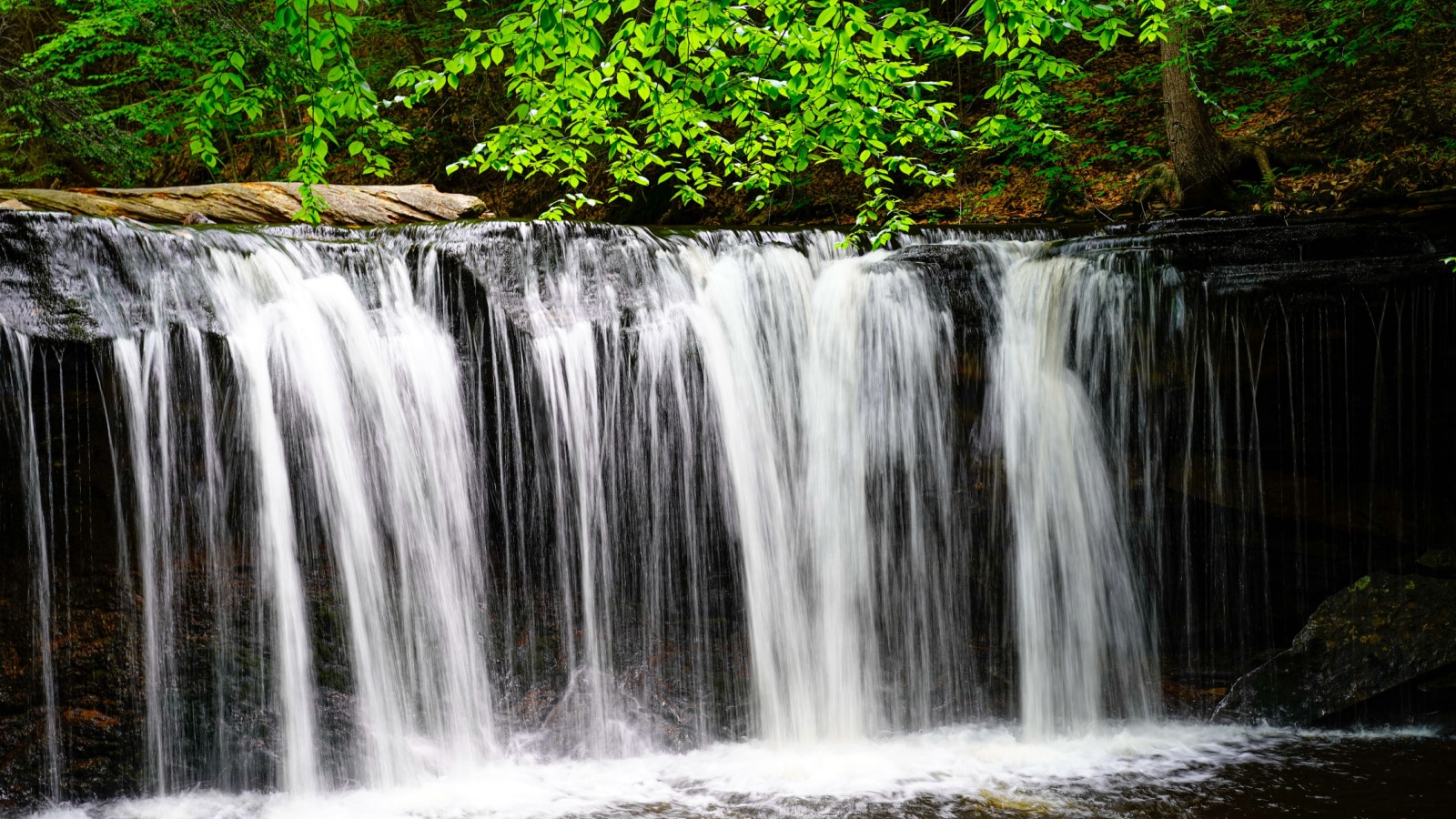 Large waterfall at Rickett's Glen State Park in Pennsylvania with a beautiful basin.