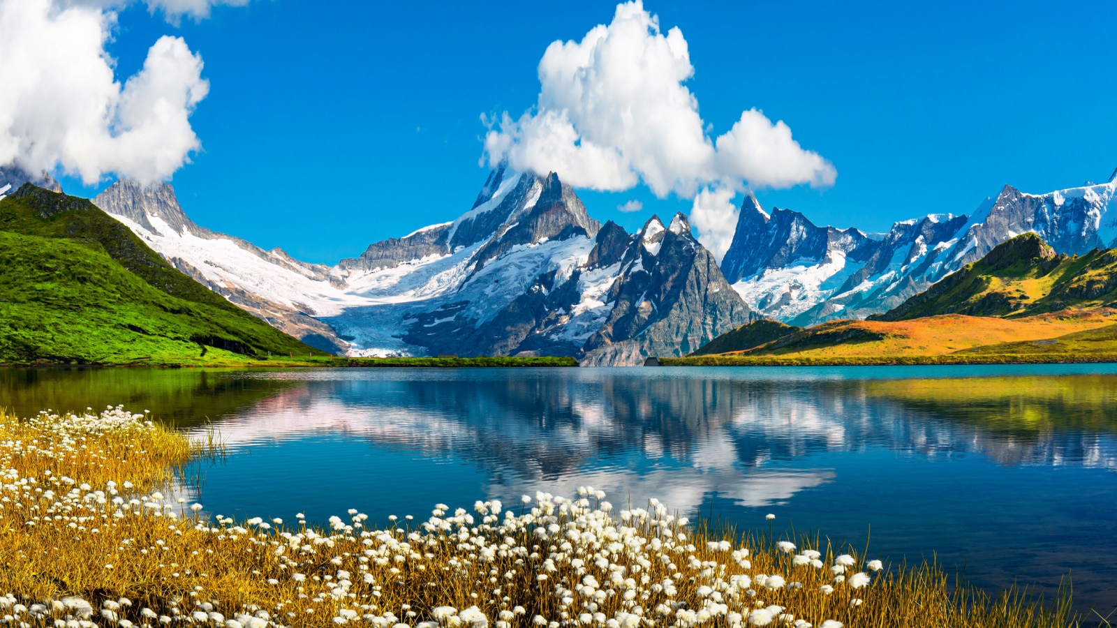 Sunrise view on Bernese range above Bachalpsee lake. Peaks Eiger, Jungfrau, Faulhorn in famous location in Switzerland alps, Grindelwald valley