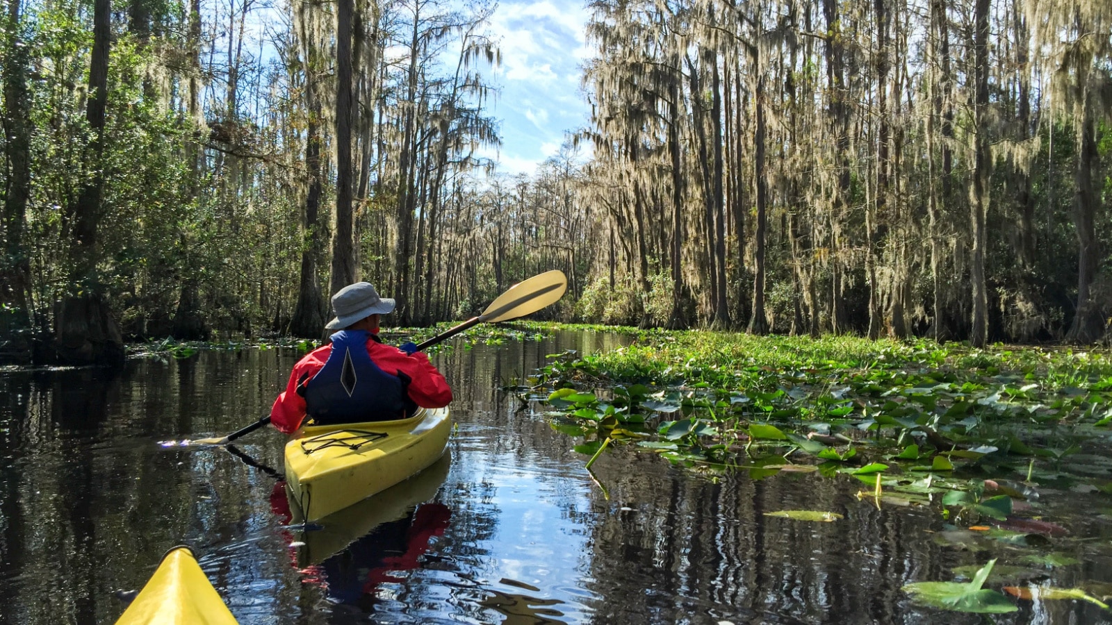 Kayaking couple in Okefenokee swamp in Georgia, USA.