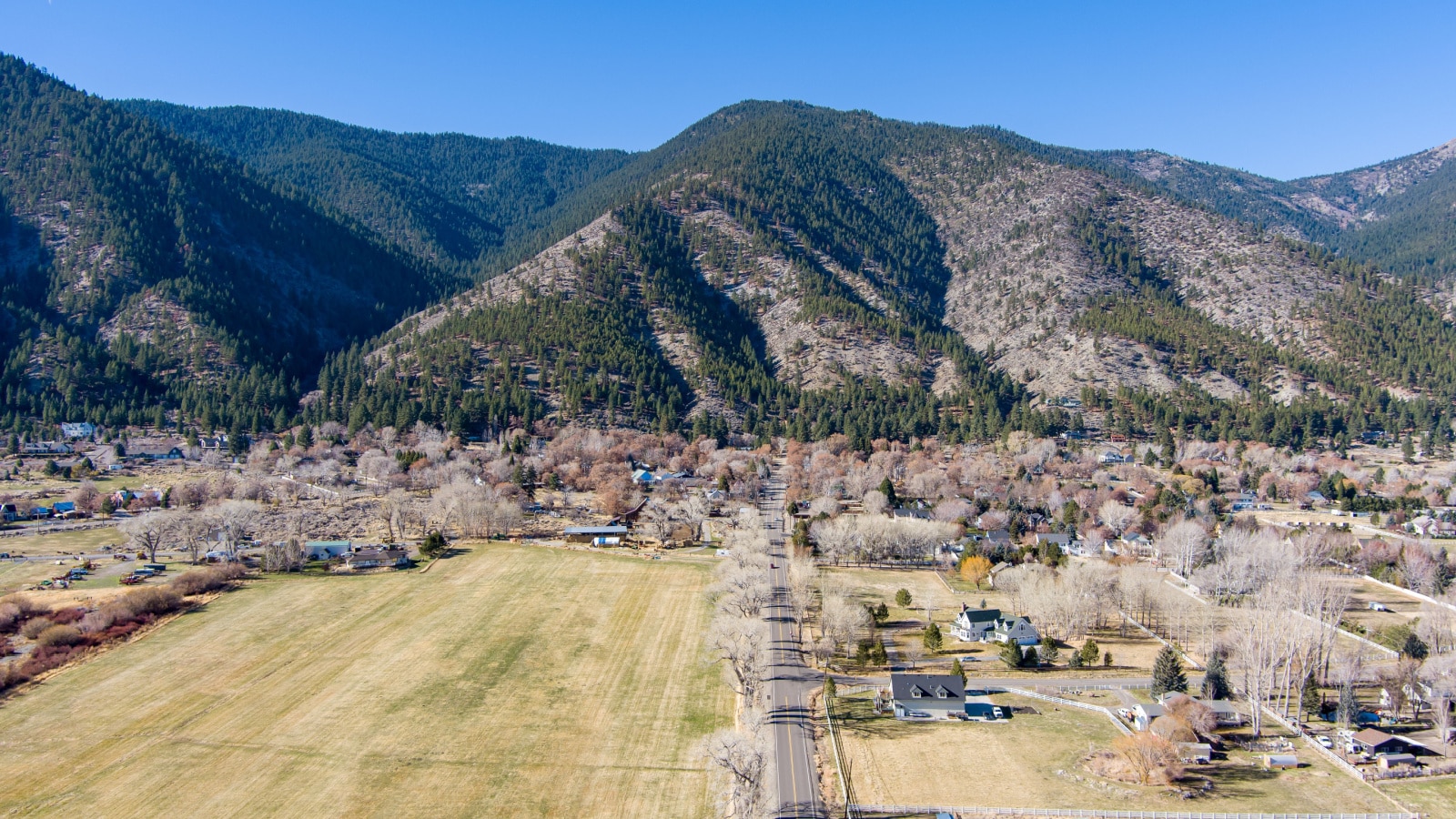 Aerial View of the Genoa Nevada area in Carson Valley with barren trees, farmland and ranches.