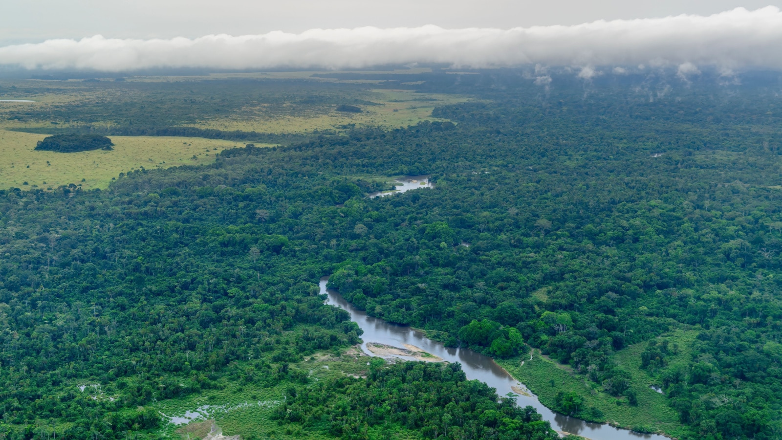 Aerial view. Odzala-Kokoua National Park. Cuvette-Ouest Region. Republic of the Congo