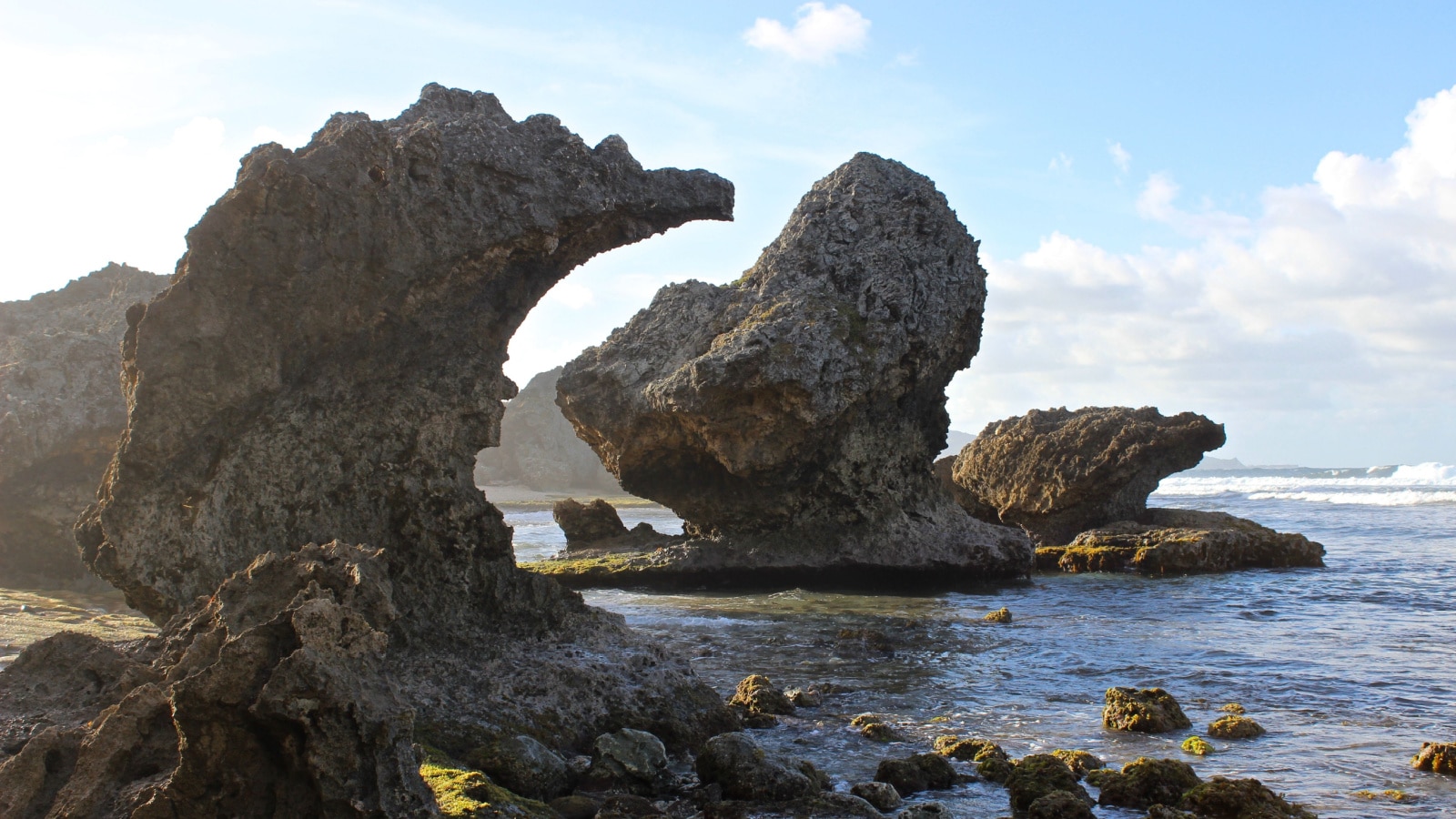 The limestone formations found along the coast of Bathsheba Beach in Barbados, are reminiscent of the moon's surface. After years of erosion from the waves, amazing shapes take form in the rocks.