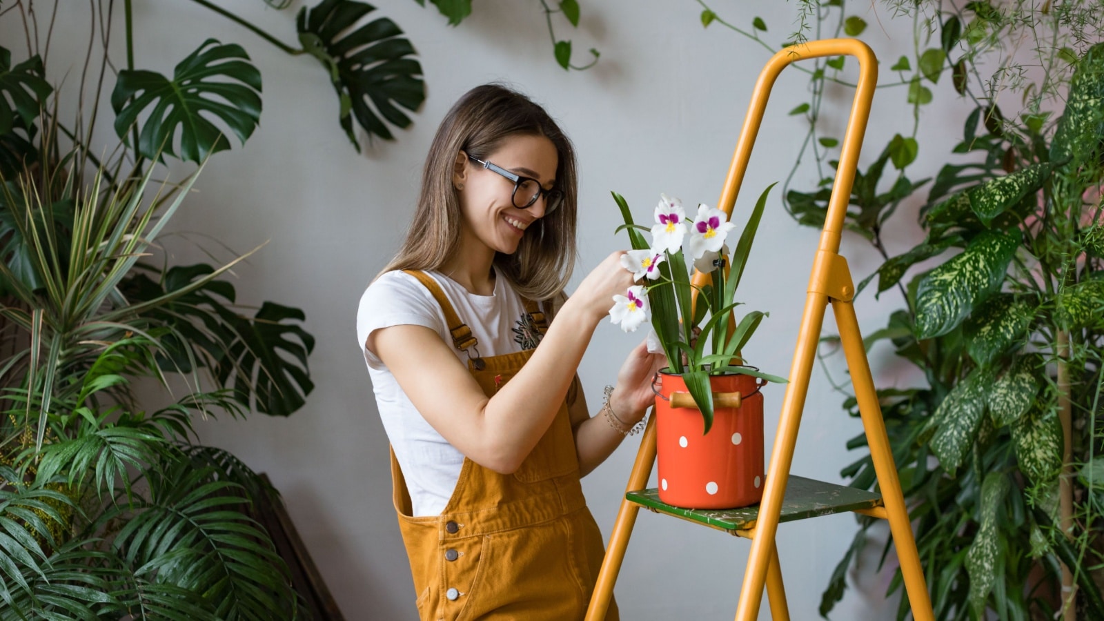 Young smiling woman gardener in glasses wearing overalls, taking care for orchid in old red milk can standing on orange vintage ladder. Home gardening, love of houseplants, freelance.