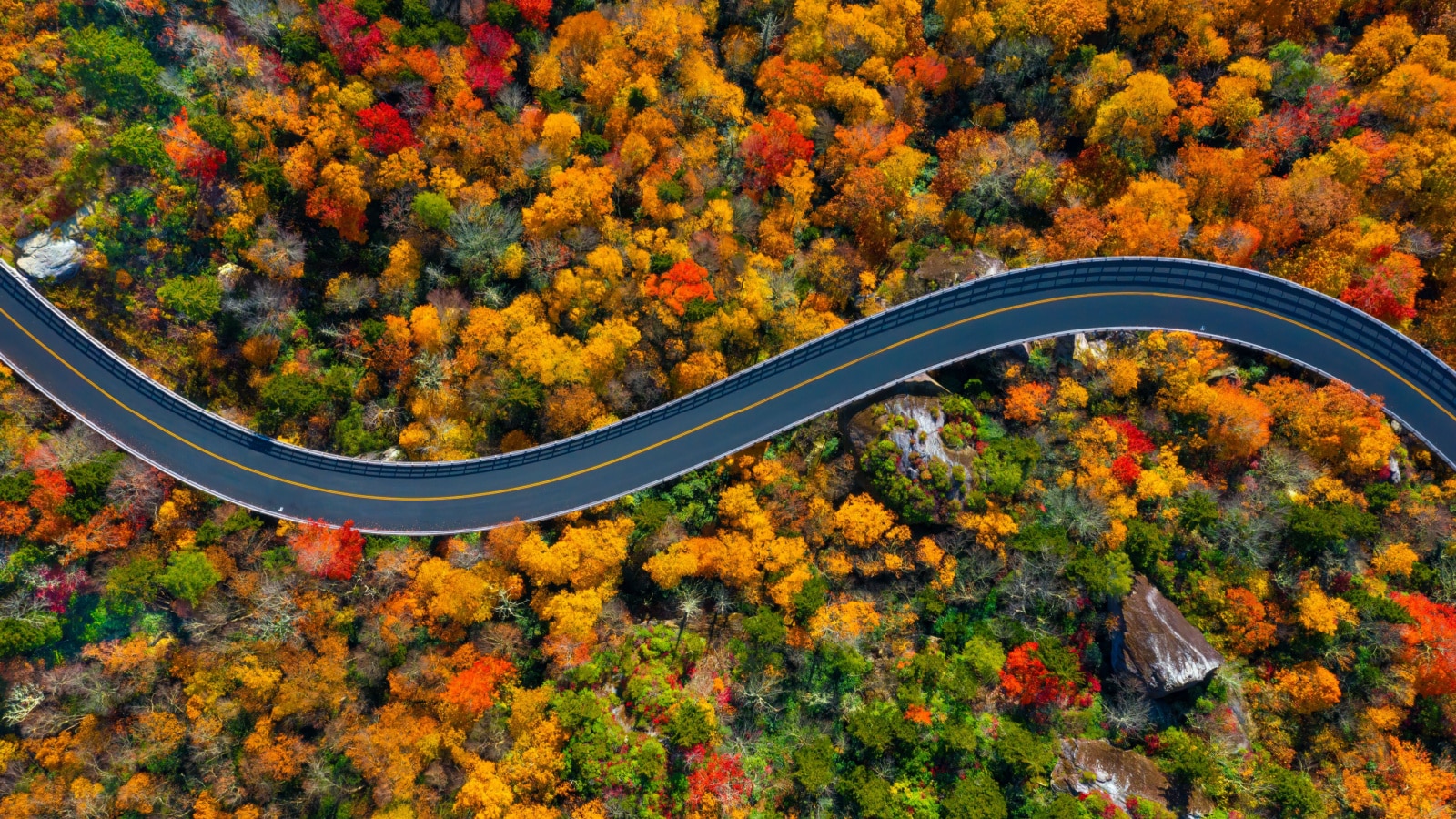 Road through the Blue Ridge Parkway mountains of North Carolina during the Fall.