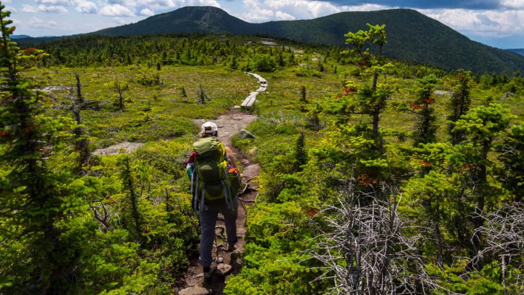 Hiker on Appalachian Trail in Maine, Lush Mountain Vista