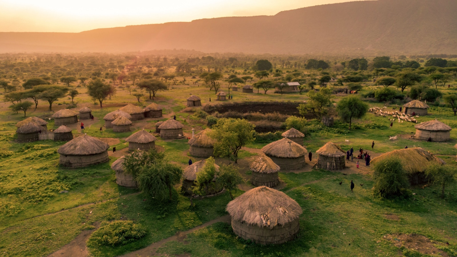 Aerial Drone Shot. Traditional Masai village at Sunset time near Arusha, Tanzania