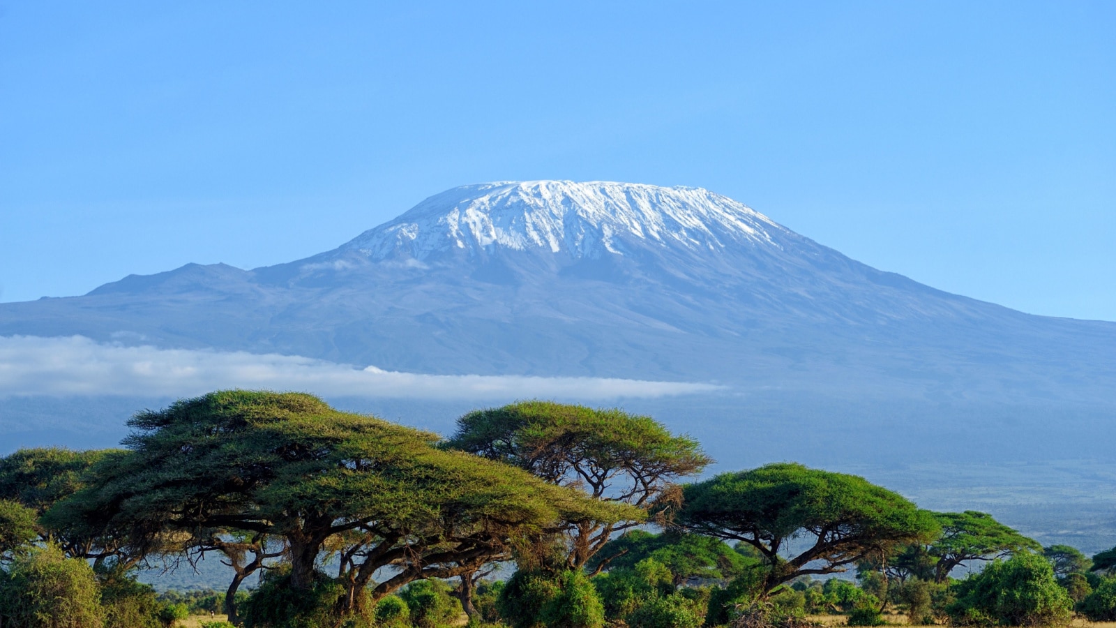 Snow on top of Mount Kilimanjaro in Amboseli