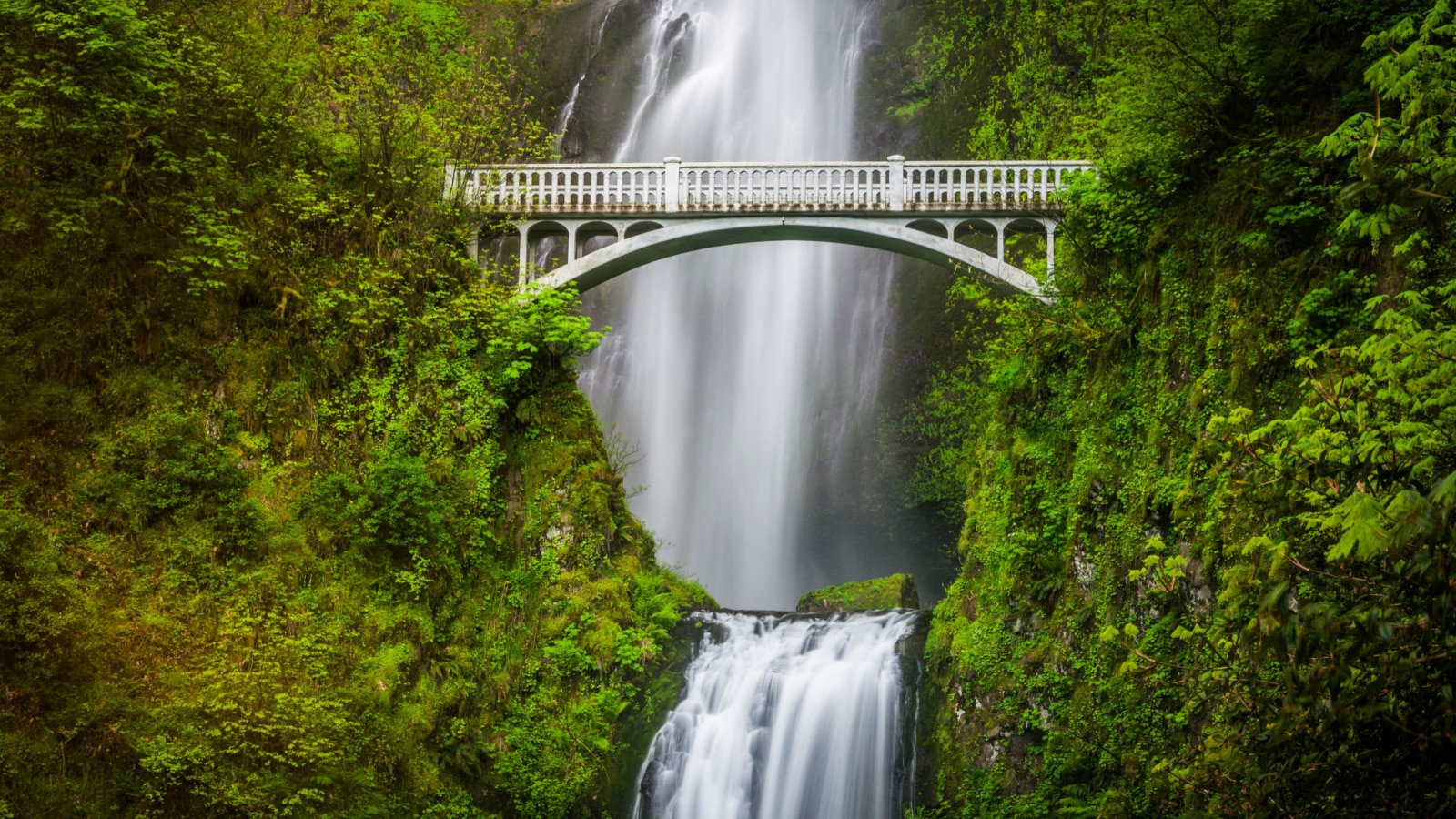 Multnomah Falls and bridge, in the Columbia River Gorge, Oregon.