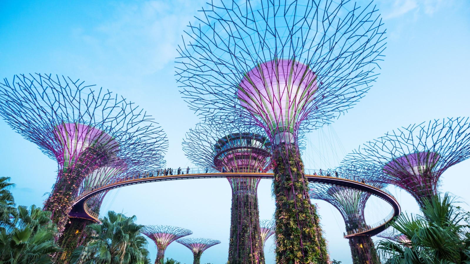 Singapore: Gardens by the Bay