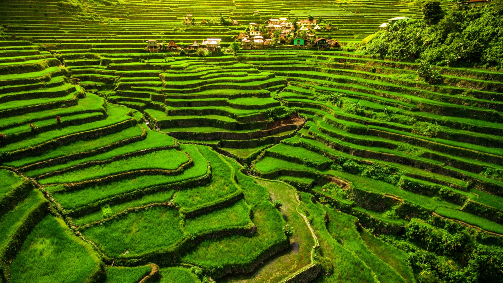 World heritage Ifugao rice terraces in Batad, northern Luzon, Philippines.