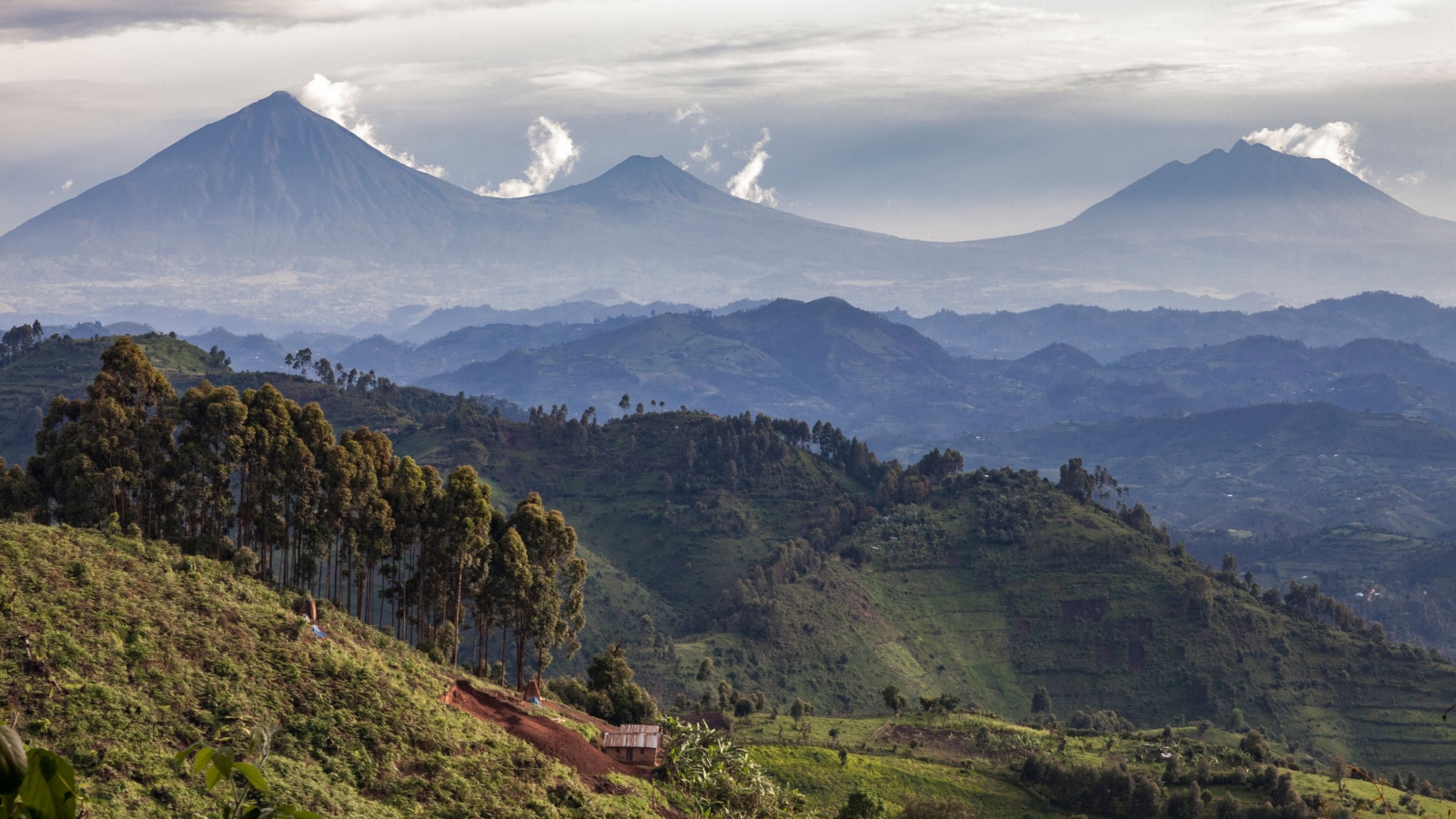 Small African farm cottage set on the side of hill with Volcanoes National Park in Rwanda in the background