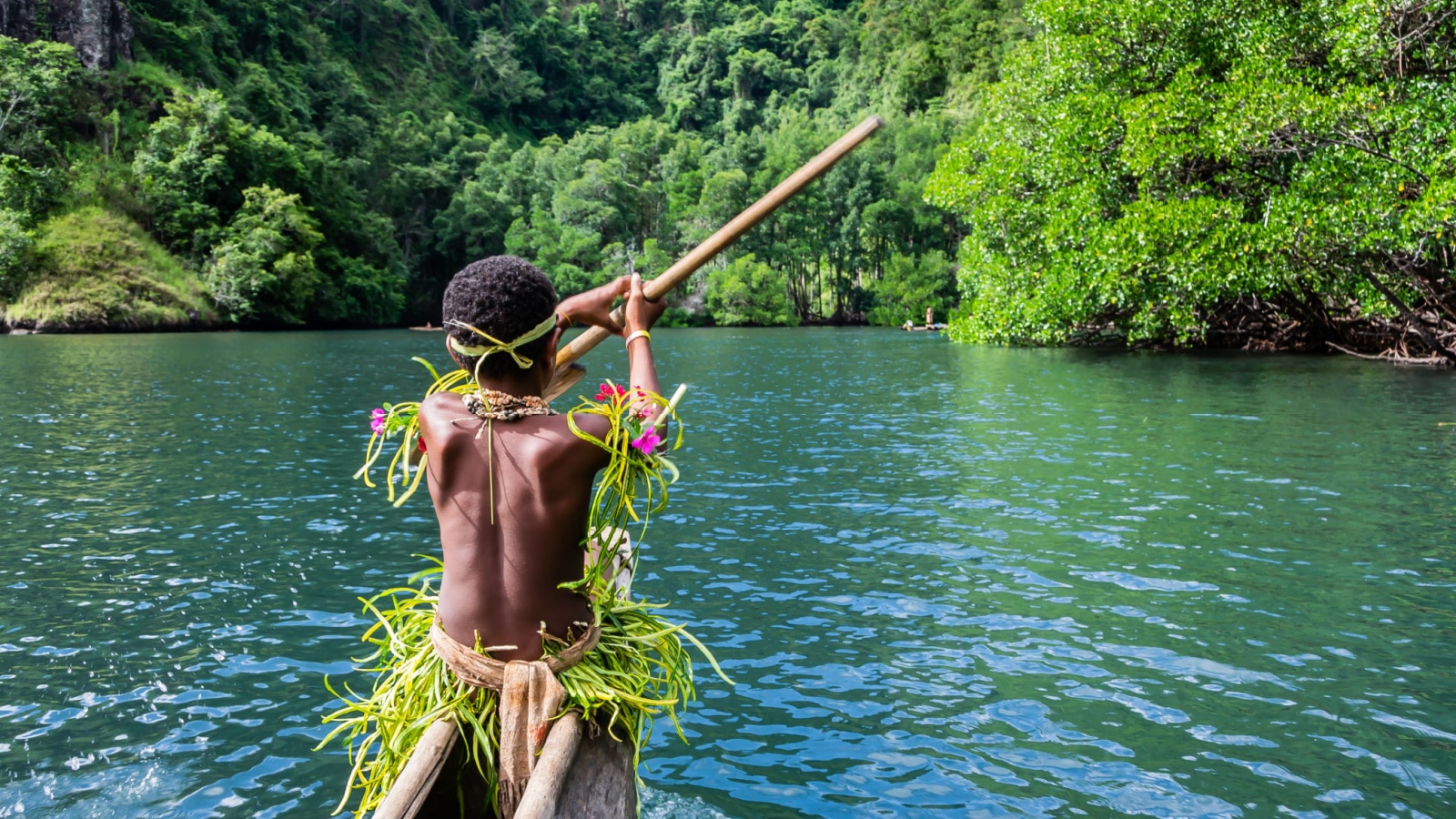 Yang sportive indigenous tribal boy with a paddle in a traditional canoe, natural green jungle with mangrove trees background, Melanesia, Papua New Guinea, Tufi