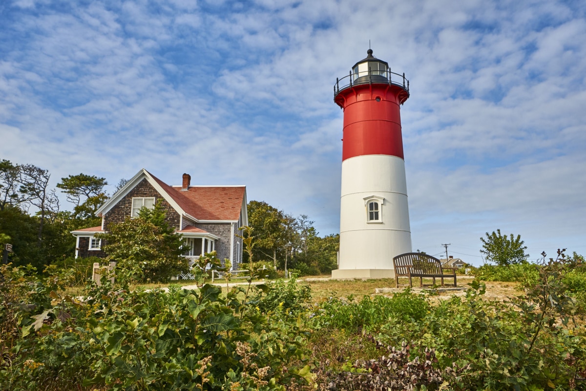 Lighthouse and green bushes