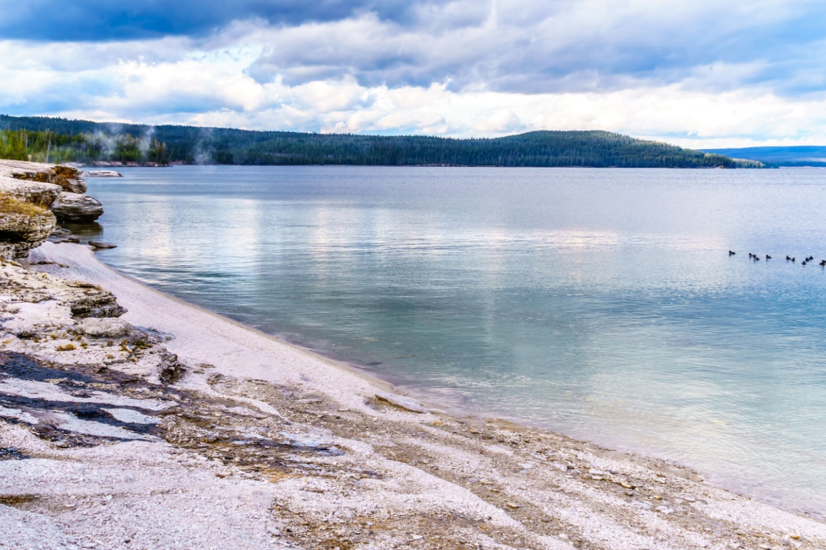 The shoreline of Yellowstone Lake at the West Thumb Geyser Basin in Yellowstone National Park, Wyoming, United States