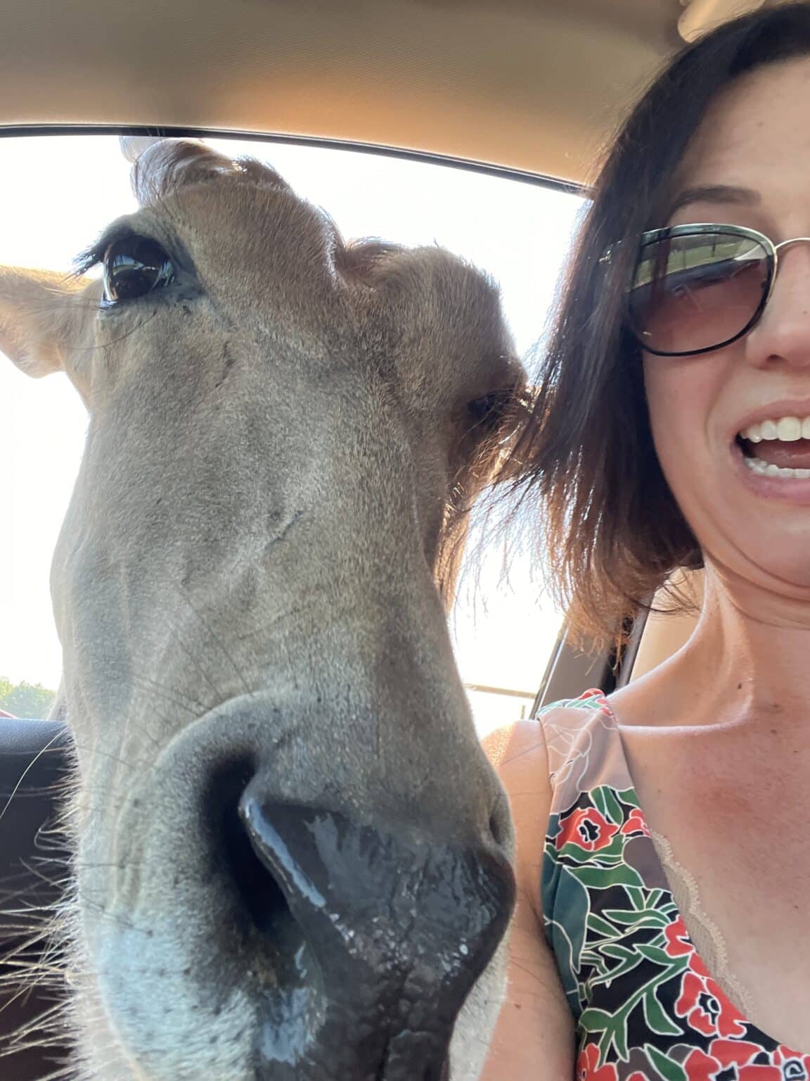 Lindsey trying to take a selfie with the animals