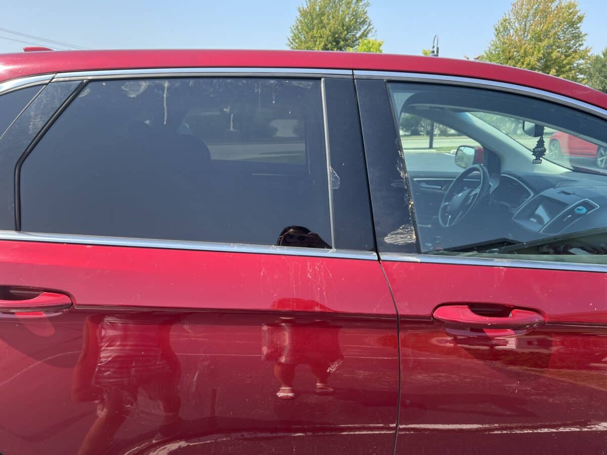 A dirty car after the drive-through safari in Wisconsin.