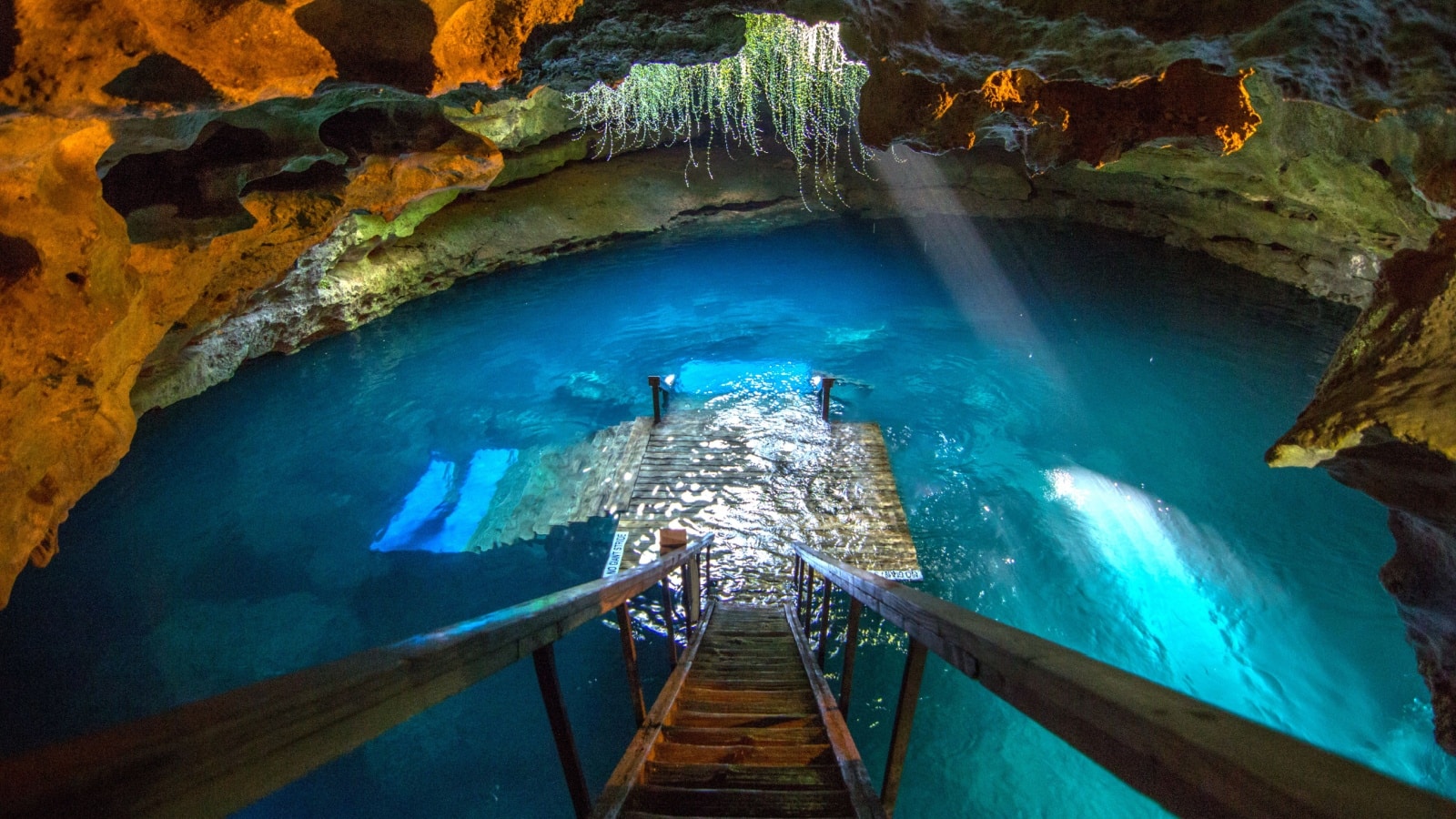 devil's den spring prehistoric florida