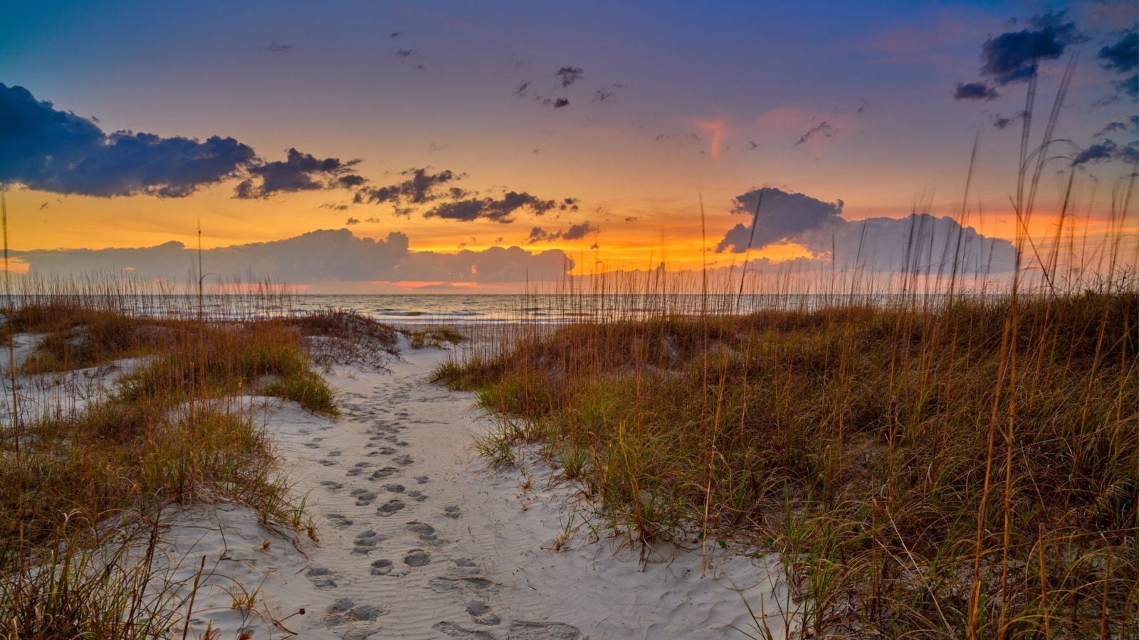 Sand dunes with footpath at sunrise, Hunting Island State Park South Carolina.