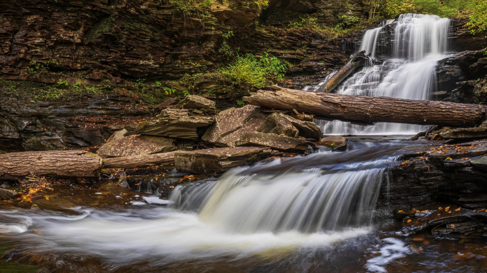 Shawnee Falls in Ricketts Glen State Park, Pennsylvania