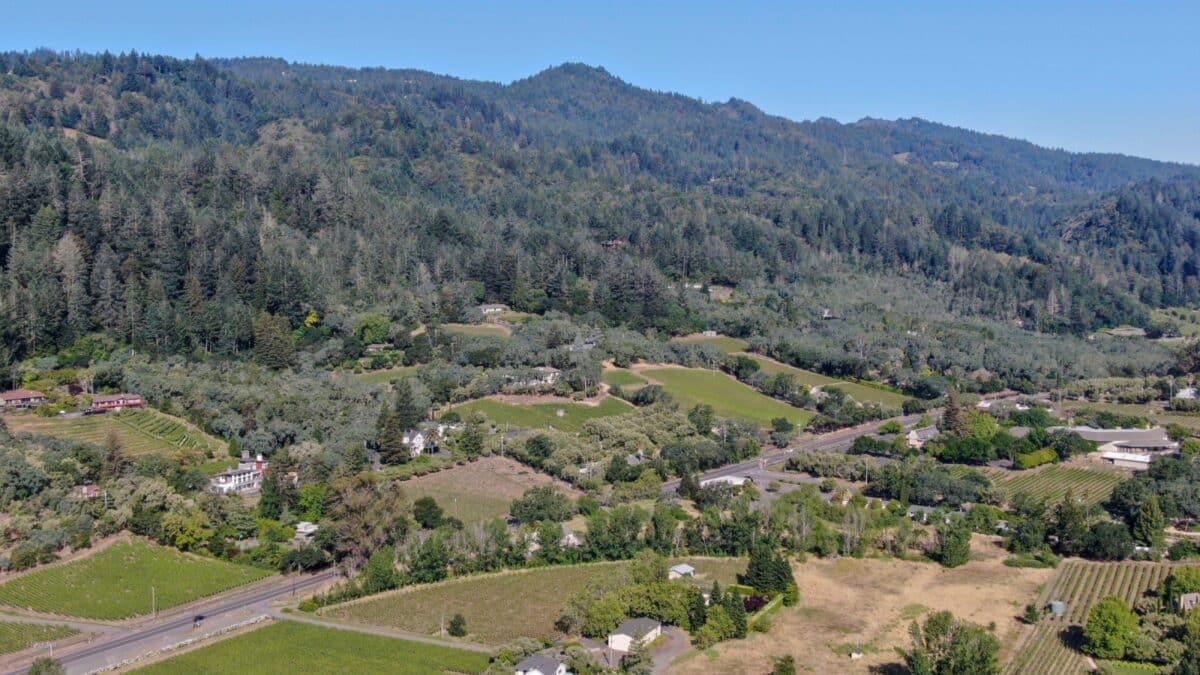 Aerial view of wine vineyard in Napa Valley during summer season. Napa County, in California's Wine Country, part of the North Bay region of the San Francisco Bay Area. Vineyards landscape.