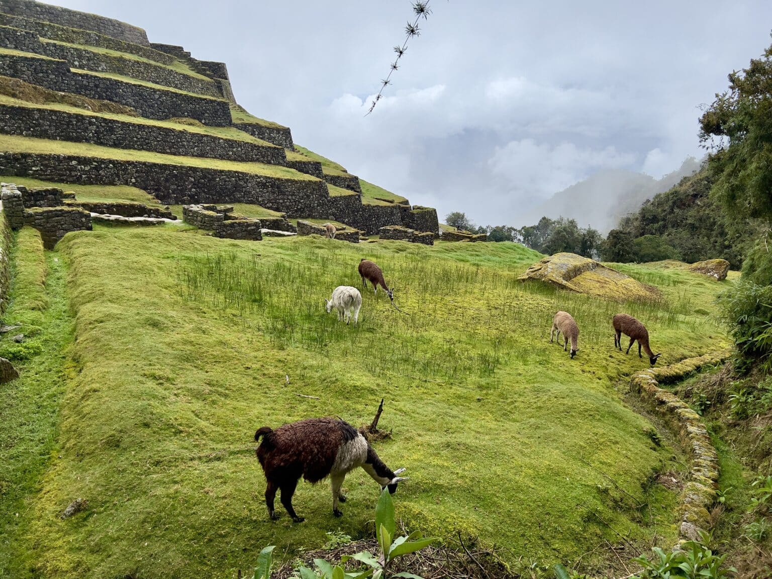 Inca Ruins along the inca trail