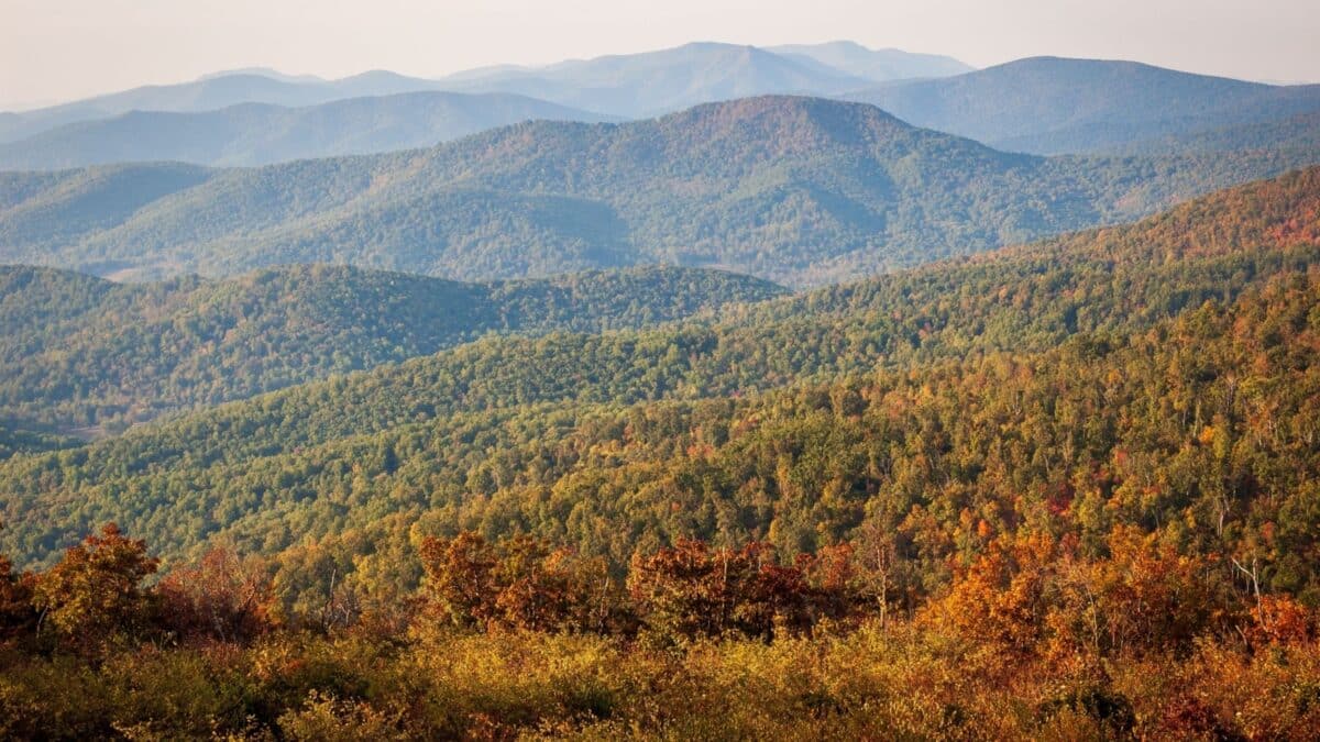 Hazy Morning Overlook at Shenandoah National Park along the Blue Ridge Mountains in Virginia, USA