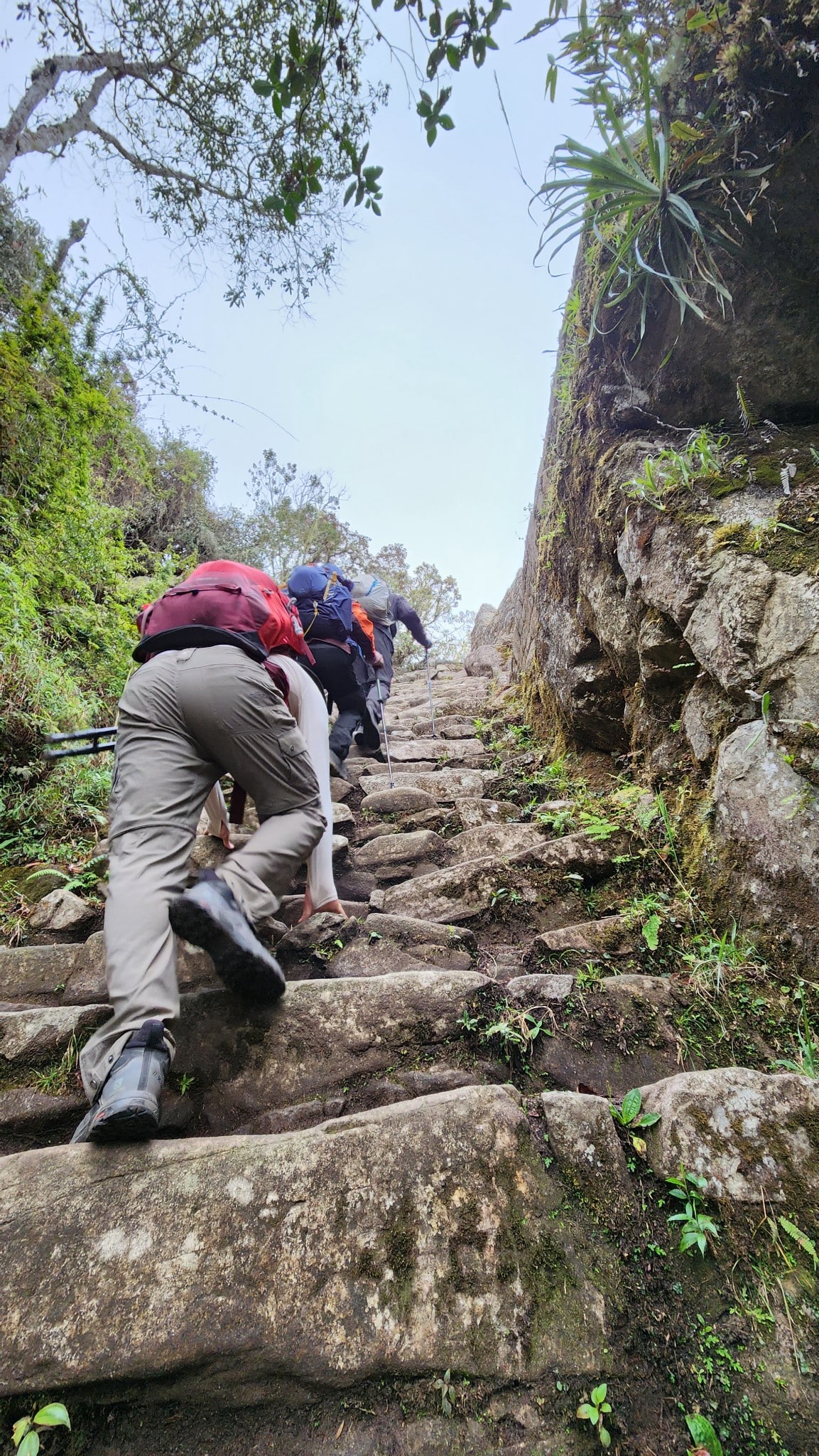 The monkey stairs on the Inca Trail.