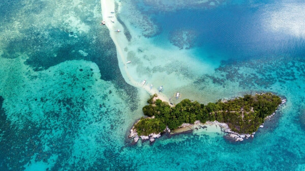 The snake island,which is also known as Ilha da Queimada Grande, is an island off the coast of Brazil. This island is full of venomous snakes.