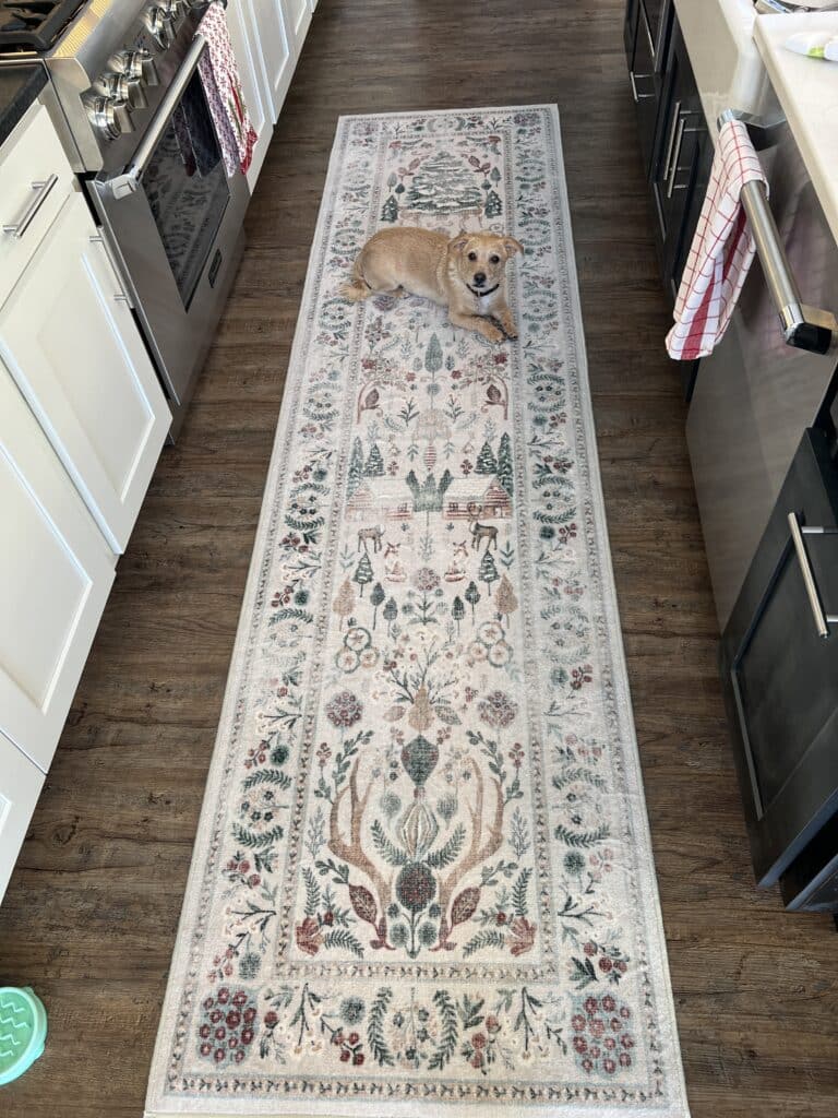 A holiday rug from Ruggable in cream, with Buddy laying on the upper right hand corner