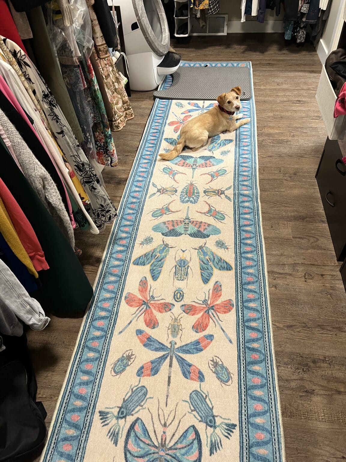 The Iris Apfel bug rug with litter robot on the end